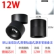 R8 Black Shell 12W Белый свет