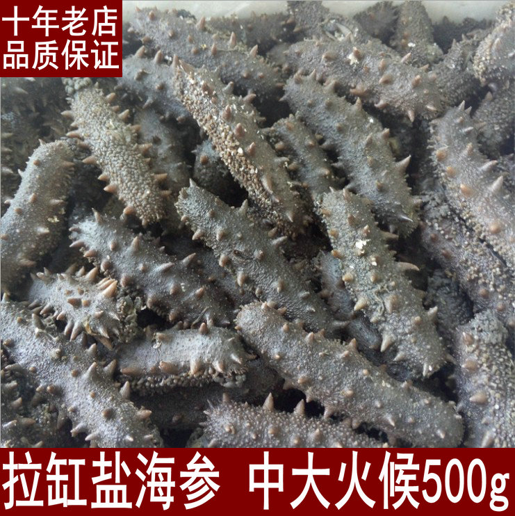 40 - 60 head Dalian Fujian semi - dry cylinder salt cucumber 500g fire is the sea - sea deep Liaoxylon diet