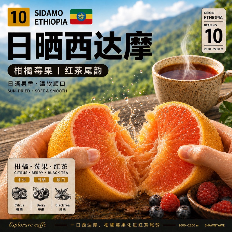 Ethiopia Sidamo G4 · Sun-Dried · Medium Roast Coffee Beans Freshly Roasted for Hand Brewing and Grinding Ethiopia Sidamo G4 · Sun-Dried · Medium Roast Coffee Beans Freshly Roasted for Hand Brewing and Grinding