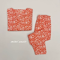 Красное дно белый цветок