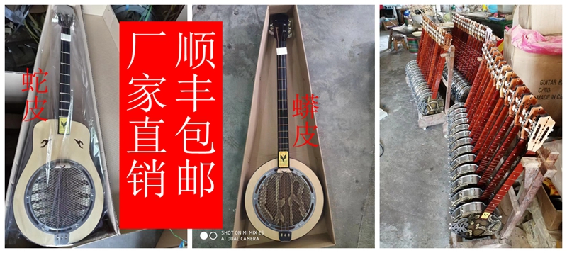 海朗楽器 本物の三弦琴楽器 ニシキヘビ皮琴 腰型丸ピック弦 古代楽器