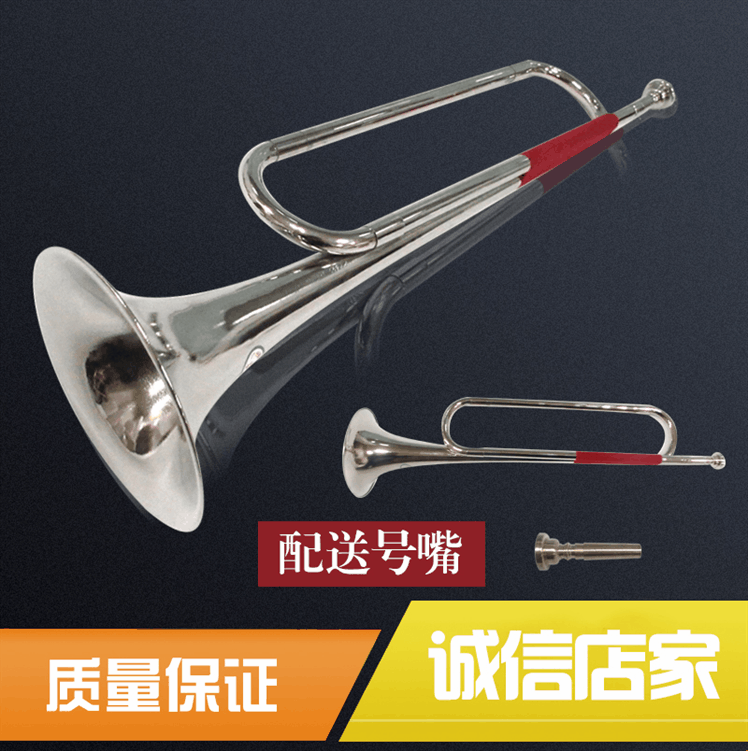 Waves instrument Small army number instrument B tone less first team drum number team number team number Silver Bronze Bronze Year Number of instruments