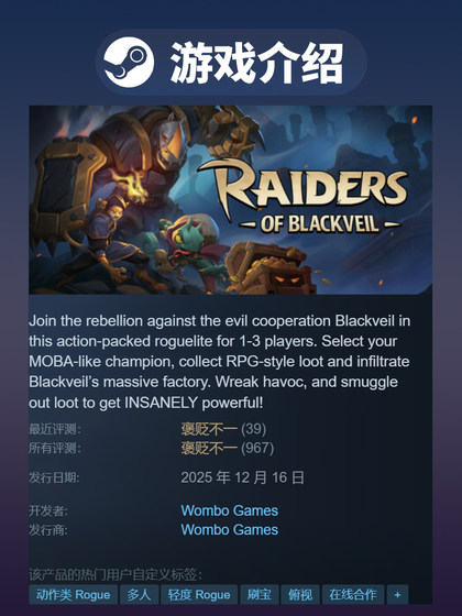 Steam Official Version Raiders of Blackveil Action Game Black Veil Raiders