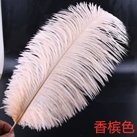 Цвета шампанского