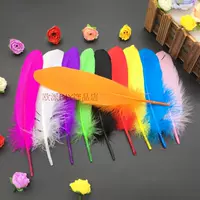 10 кусочков смешанного цвета