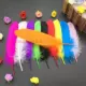 10 кусочков смешанного цвета