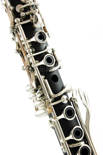 Нижний E -Tune Single Celebration Black Tube Butterfly Brand Small Falling E Black Tube