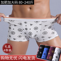 Four-strip cotton fat underwear mens boxer pants plus size loose fat fat 100% youth boxer pants