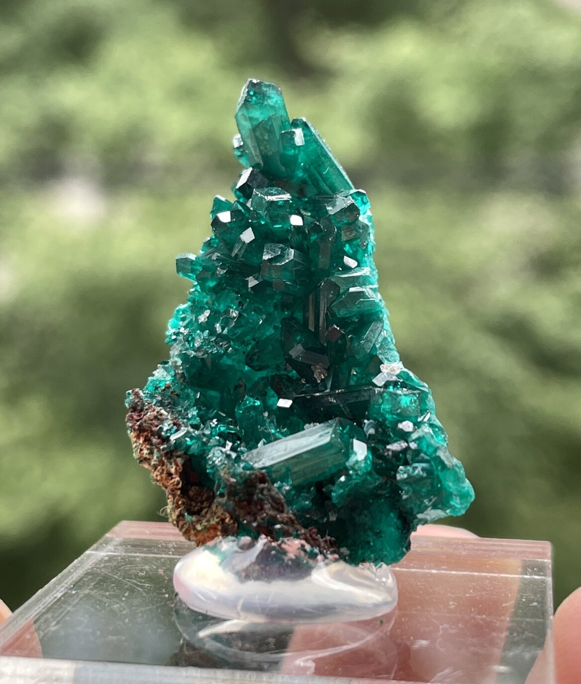 Perspective Stone Dioptase Cumine Copper Mine Raw Stone Namibia Mineral Crystal Specimen Boutique Daisy Mine Crystal House-Taobao