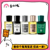 【Официальная одежда】 Palma Myrtle/Capri Orange/Amafi Fig/Bergamot