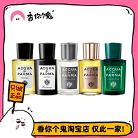【Официальная одежда】 Palma Myrtle/Capri Orange/Amafi Fig/Bergamot