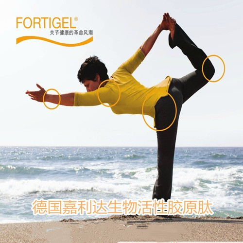 German Jialida Bioactive Collagen Peptide Bone and Joint Protector Enzymatically Hydrolyzed Chondroitin Sulfate