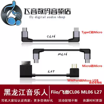 FiiO feiao CL06 ML06 decoded data line typeec to Micro to Micro