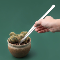 Tortoise feeding hard long large stainless steel tweezers long handle super long big tool Extra Large pinch thickening extension