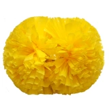 Профессиональный конкурс серии Югуан