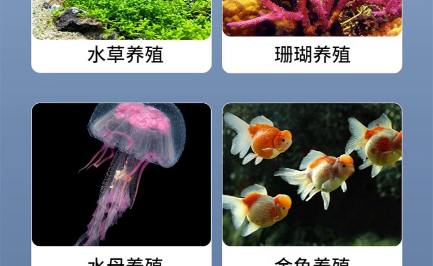 20L / 35L LCD Display Aquarium Water Chiller Pond Cooling Device Fish Tank Const