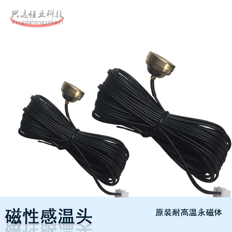 Magnetic temperature probe temperature sensor temperature sensor magnetic probe resistant to high temperature permanent magnet thermistor temperature measurement