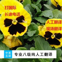  2 International students make foreign English calls business interpretation meeting reservation hotel consultation pre-sales and after-sales consultation