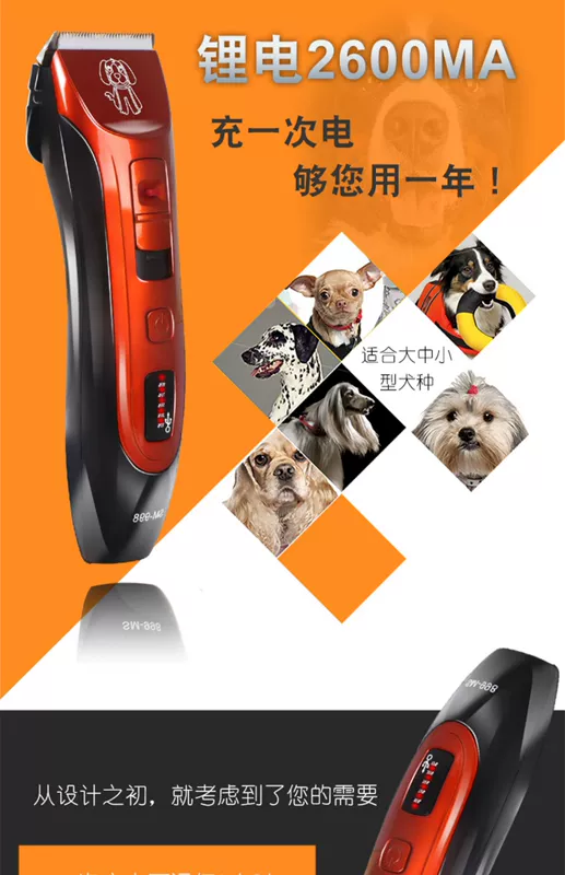 Pet dog cạo Teddy mèo với clipper lông cắt tỉa lông chó cạo lông chó lớn câm - Cat / Dog Beauty & Cleaning Supplies