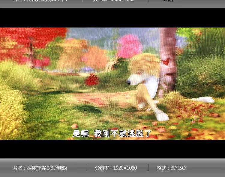 Lunettes VR ou 3D - polarisant - Ref 1229469 Image 11