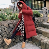 现货附买家秀双层领手套羽绒服90绒6178款P325控468，女装羽绒服，2C139