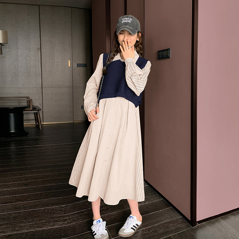 2025年秋季新款两件套装绝美连衣裙女长袖2C112-L699-P135-K188,女装连衣裙,2C112
