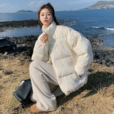 高级感时尚立领羽绒服女2025冬新款韩版小清新加厚90白鸭绒面包服，女装羽绒服，2B222