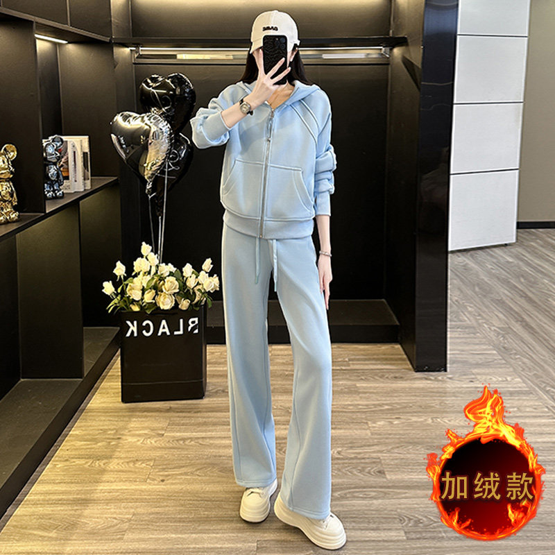 女秋冬季洋气减龄外套阔腿裤两件套,女装套装/套裙,2C310