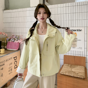 2025年春季潮流时尚女装女士精品短款风衣外套显瘦图片