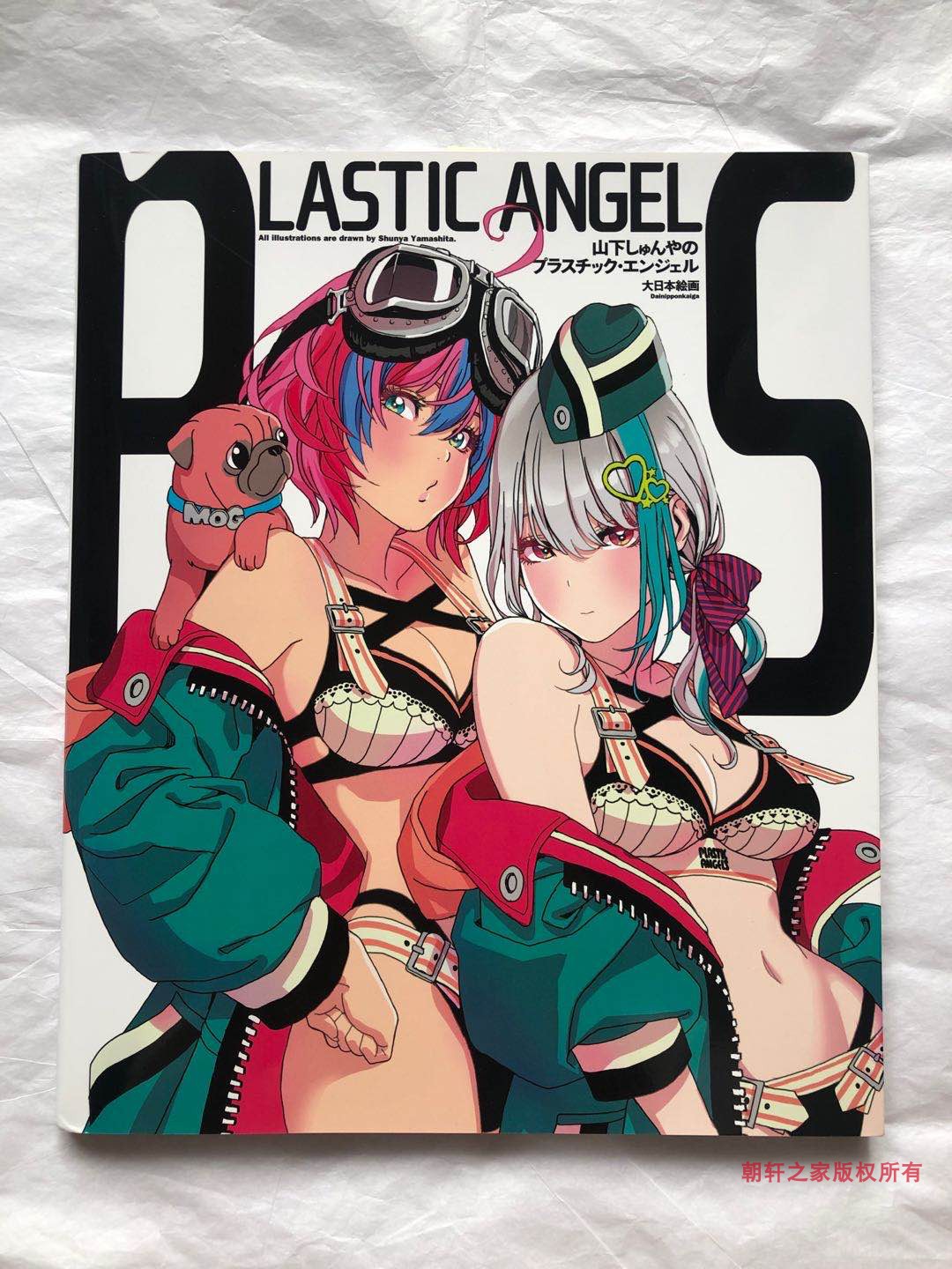 山下充、【夏の不二】、希少な額装用画集より、新品額装付 全新日文原版畫集山下俊也Plastic Angels 山下しゅんやの