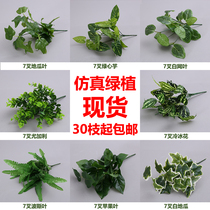 Artificial grass apple leaves Persian leaves Home sweet potato leaves false leaves Wedding hall green plant decoration flower arrangement small green dill leaves