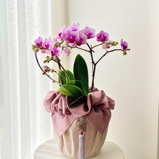 Марлевый мешок 礼品包布 送礼包装 韩国进口双层石垃泊150cm19+29号h-p10900