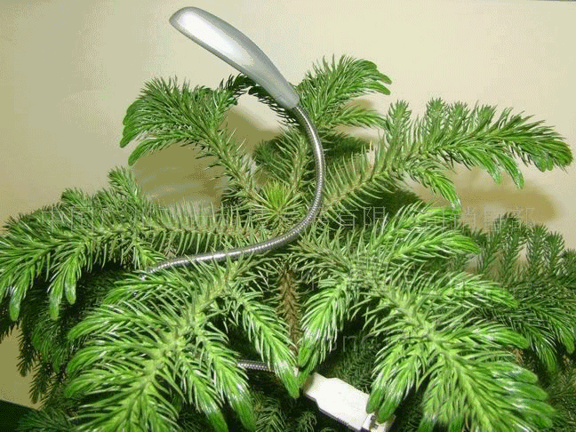 Lampe USB - Ref 380490 Image 7