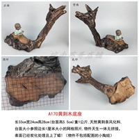 Оранжевый A170 Huang Jingmu