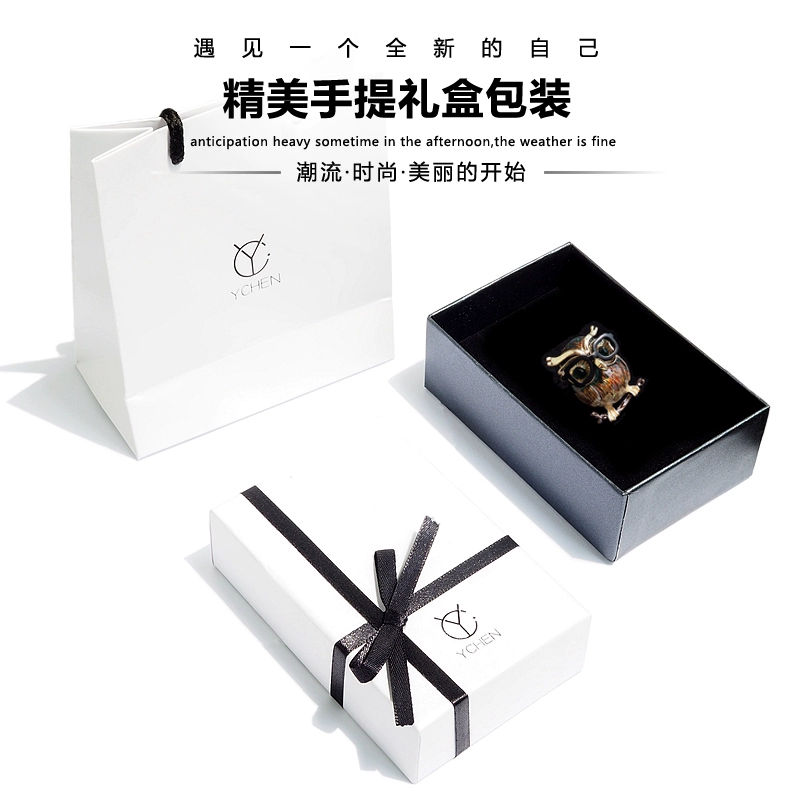Pearlescent YCHEN mùa thu và mùa đông Hàn Quốc vẽ tay tráng men cú trâm cài áo len pin cổ áo pin trang trí