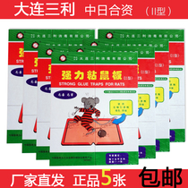5 Zhang Sanli strong sticky mouse plate grasp sticky large and medium mouse artifact home rat catching rat quid star a nest end