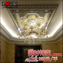 European light pool living room ceiling shape ceiling lamp plate decoration material non-gypsum line ceiling line x216
