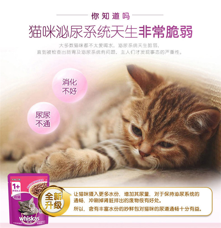 Mèo ướt thức ăn Wei Jia Miao gói tươi vào mèo 7 loại hương vị mèo đóng hộp mèo ăn nhẹ gói tươi 85g * 12 gói - Đồ ăn nhẹ cho mèo cám cho mèo