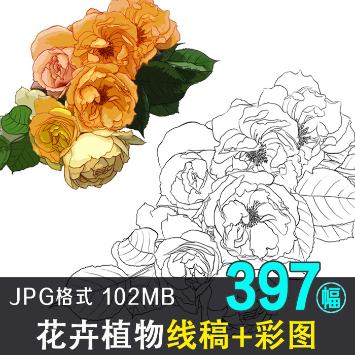 花朵植物線稿圖庫花草樹木花卉手繪漫畫彩色圖案繪畫上色臨摹素材