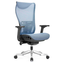 Full mesh breathable modern office swivel chair Bionic keel lifting chair Sedentary comfortable waist protection Ergonomic computer chair