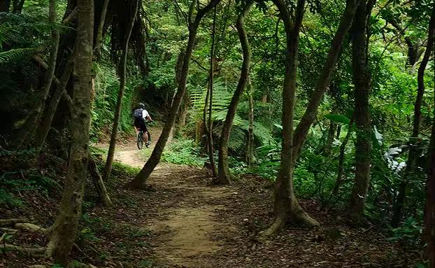 Haut-parleurs pour vélos - Ref 2265746 Image 19