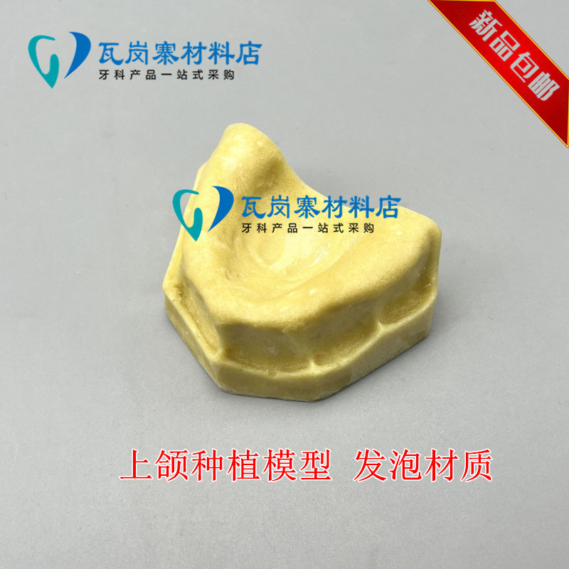 口腔种植练习模型 学生练习种植发泡材质上颌窦模型 齿科材料包邮