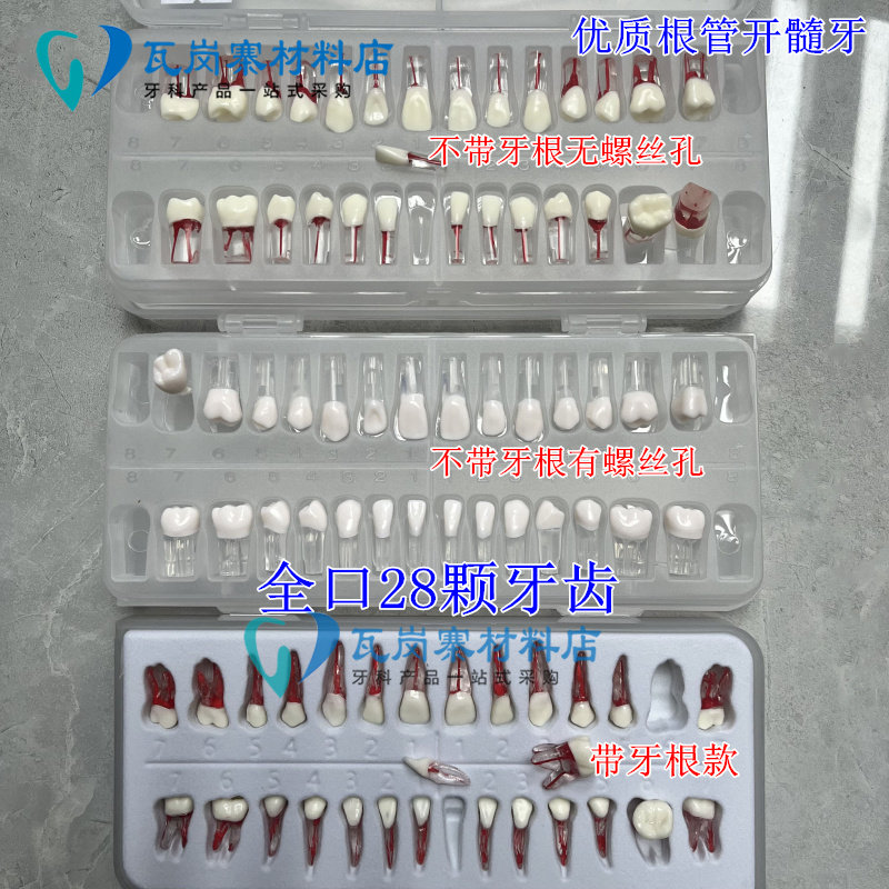 牙医考试练习口腔带髓腔根管牙粒树脂牙开髓牙粒全口28颗备牙模型