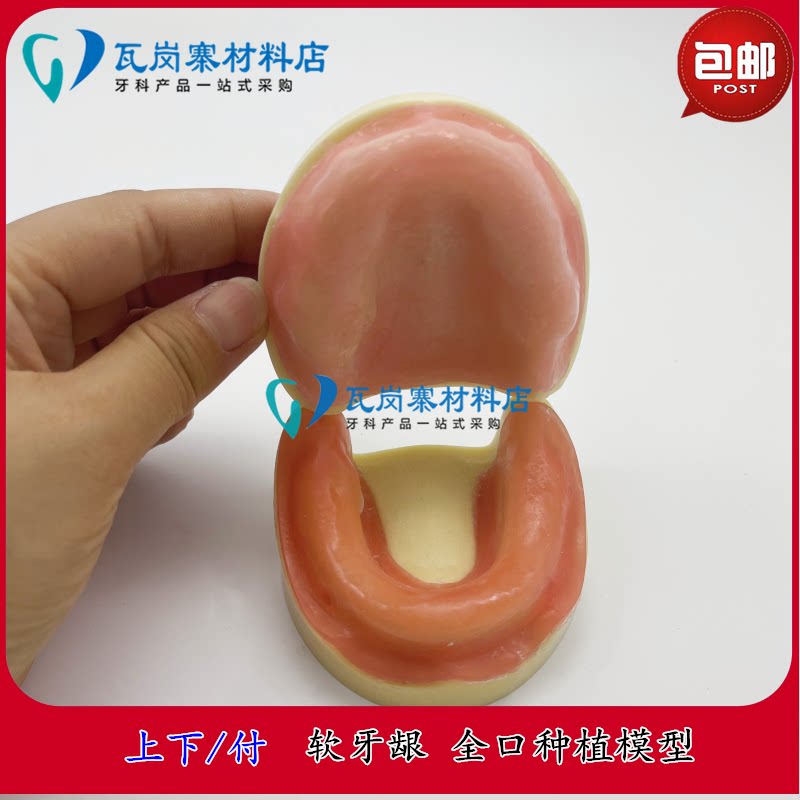 缺牙种植模型 下颌练习缺失牙膜 练习上颌窦齿科耗材工具软牙龈