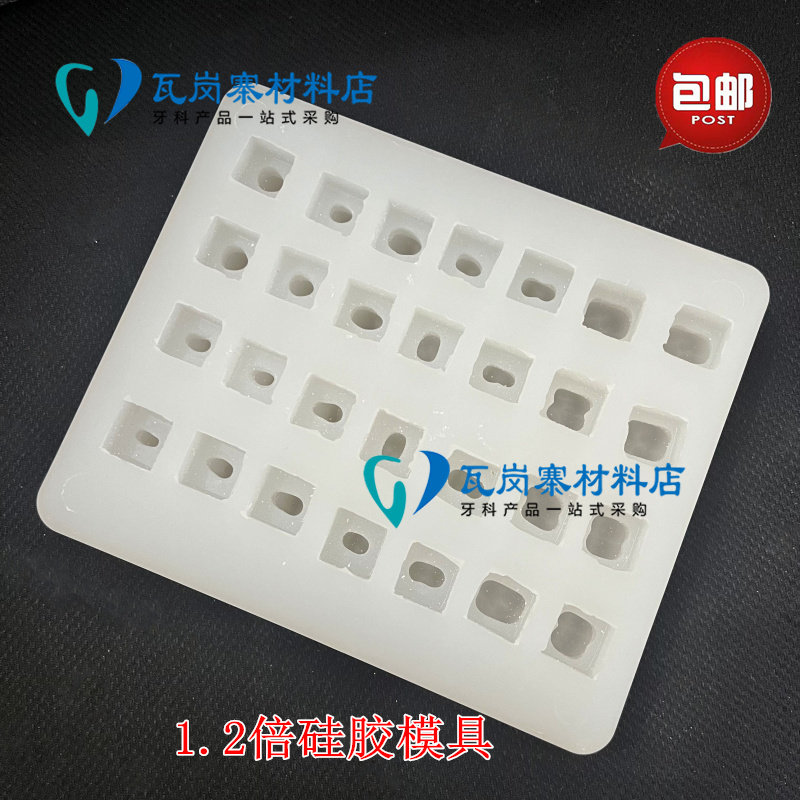 1.2倍石膏牙印模全口28颗牙齿模具 牙科口腔模型1.2倍硅胶阴模