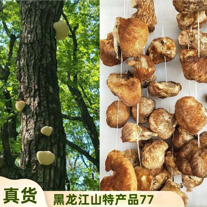 黑龙江山特产品77