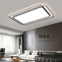 Living room ceiling main light 2024 new modern, simple, atmospheric, light luxury, and high-end seamless eye protection lighting fixtures throughout the house