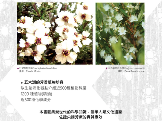 现货药用精油学20皮埃尔•法兰贡 此生必备的专业芳疗专书1.27kg