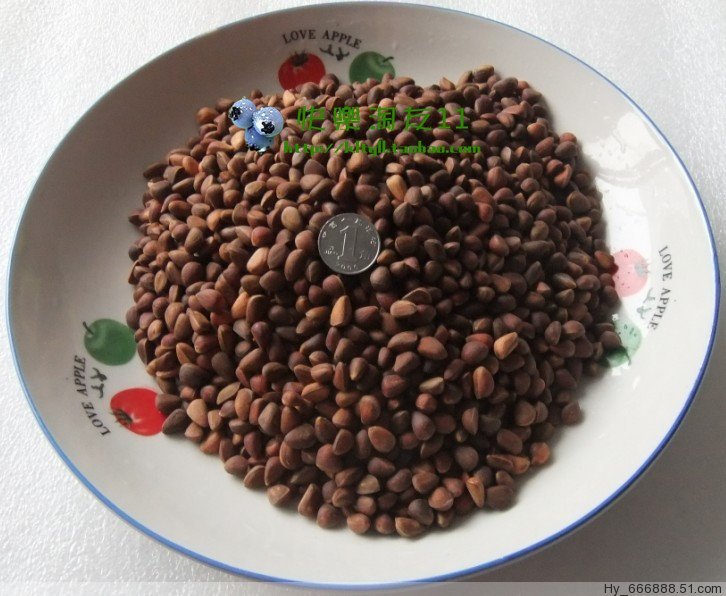 Daxing'anling Wild Small Pine Nuts Weir Pine Masson Pine Boiled in Salt Water 500g Original Cedar Nut Selection