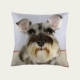 Schnauzer gối che gối đệm gối con chó cưng vật nuôi Schnauzer đệm bé - Trở lại đệm / Bolsters
